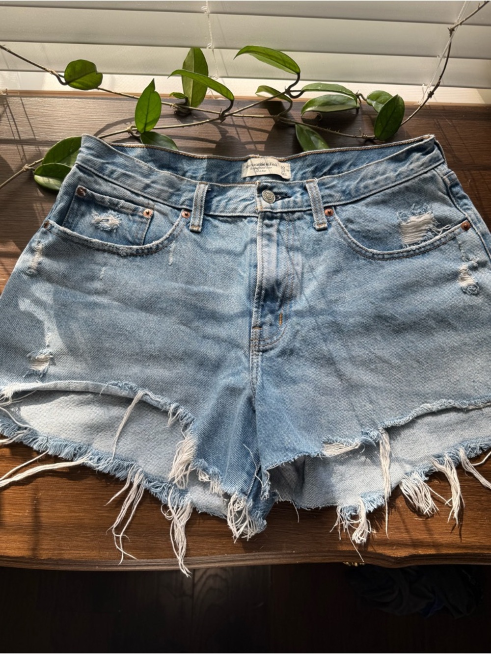 Abercrombie & Fitch Mid Rise Boyfriend Curve Love Denim Jean Shorts 30 / 10